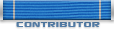 contribution_award1.png