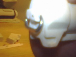 gallery_2173_220_10109.jpg