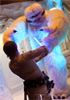 wampadude
