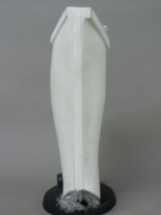 ANHlowerrightleg.jpg