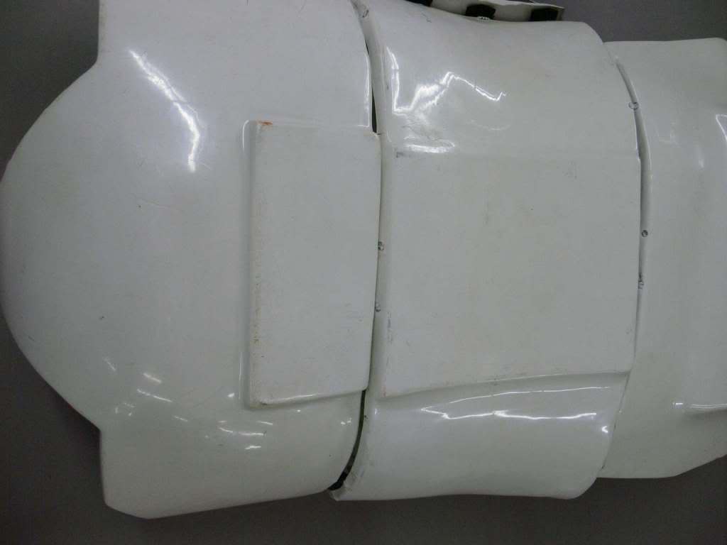 Kidney Butt 01