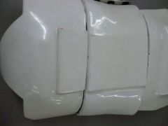 Kidney Butt 01