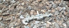 mg3469