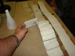 DSC02283.jpg