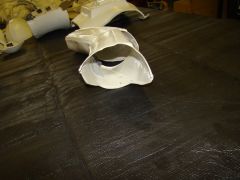 DSC02596.jpg