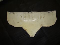 DSC02573.jpg