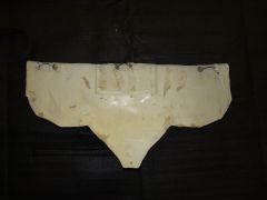 DSC02567.jpg