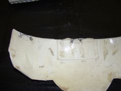 DSC02568.jpg