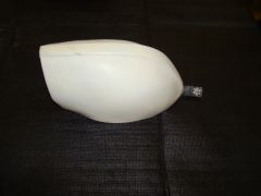 DSC02585.jpg