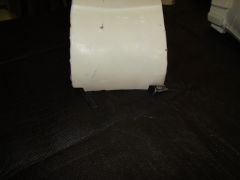 DSC02559.jpg