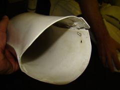 DSC02625.jpg