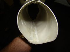 DSC02624.jpg