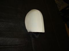 DSC02518.jpg