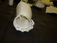 DSC02546.jpg