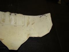 DSC02569.jpg