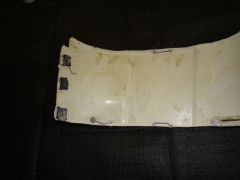 DSC02564.jpg