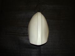 DSC02524.jpg