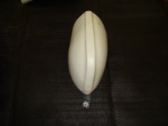 DSC02586.jpg
