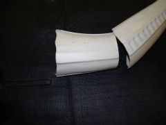 DSC02595.jpg