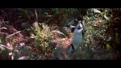 Star Wars Return of the Jedi Bluray Capture-67.jpg