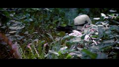 Star Wars Return of the Jedi Bluray Capture-82.jpg