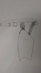 Thigh TK0412 1