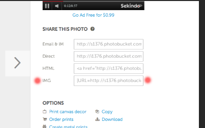 gallery_18732_76_24664.png