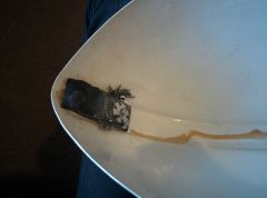 IMG_20160313_154347.jpg