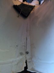 IMG_20160313_154635.jpg