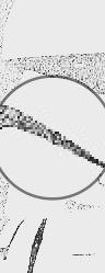 post-25215-0-26496300-1493549858_thumb.jpg
