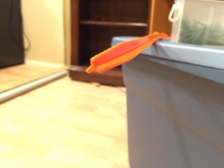post-25147-144703159552_thumb.jpg