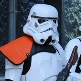 TK-62636