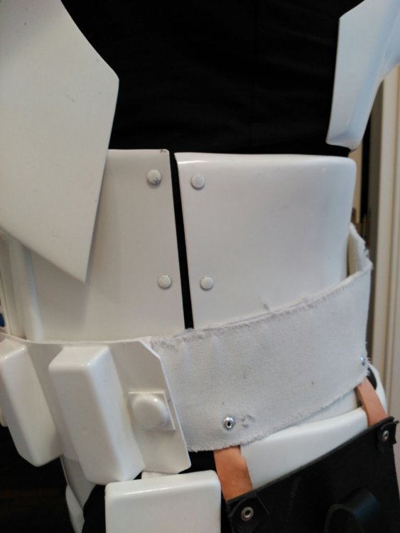 L side detail.jpg