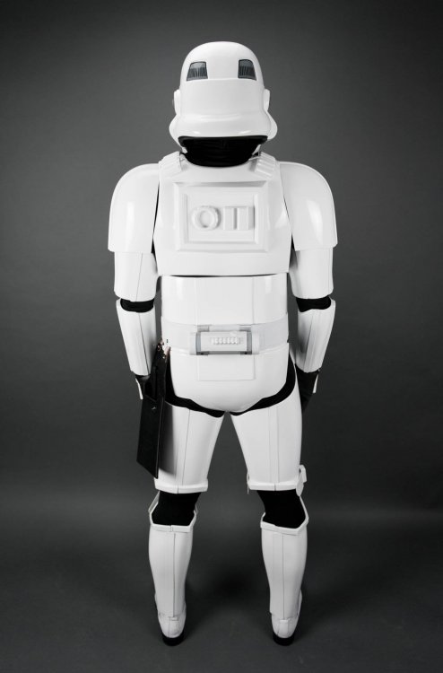 2 - Full Body - Back.jpg