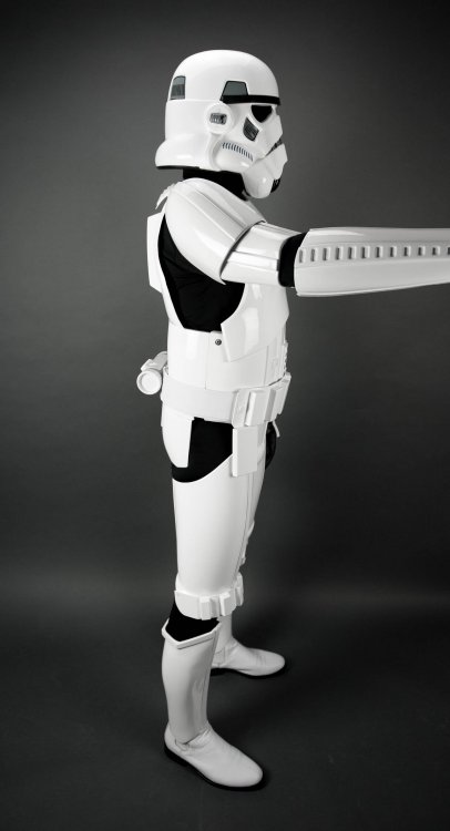 4 - Full Body - Right Arm Raised.jpg
