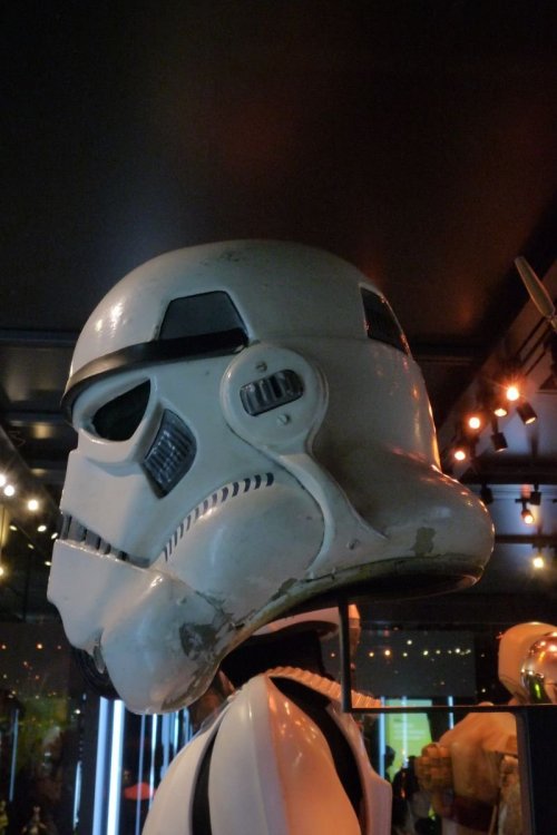helm1.thumb.jpg.f0ff7b9795c58f19a8da25c77817858b.jpg