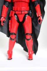 cardinal3.jpg
