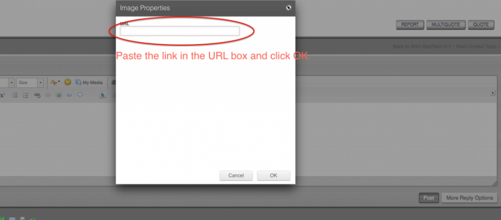 ScreenShot2014-11-27at10611PM_zpsfa8fd3e4.png