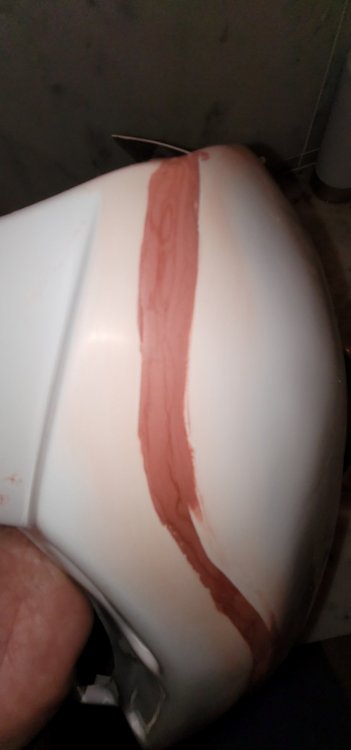 backplate 2.jpg