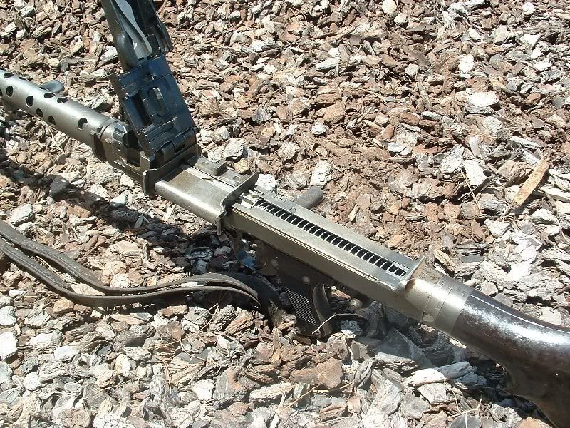 mg3467.jpg.8b8f8585a3c5e46e31b9f573bc34510f.jpg