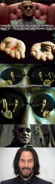MEME.thumb.png.8cda8627bc2ee6bc1fff772c81e50e59.png